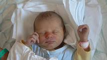 Prvorozená dcera Adélka (3,23 kg, 48 cm) se narodila Lucii Jakešové a Františku Řehákovi 26. 6. v 7.54 hod. ve FN v Plzni