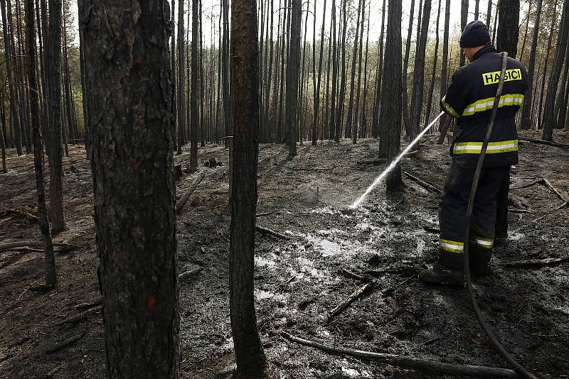 Následky požáru lesa u Chotíkova