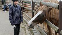 Do plzeňské zoologické zahrady dorazily jenom za sobotu více než dva tisíce návštěvníků.