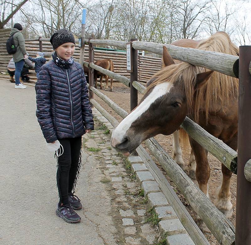 Do plzeňské zoologické zahrady dorazily jenom za sobotu více než dva tisíce návštěvníků.