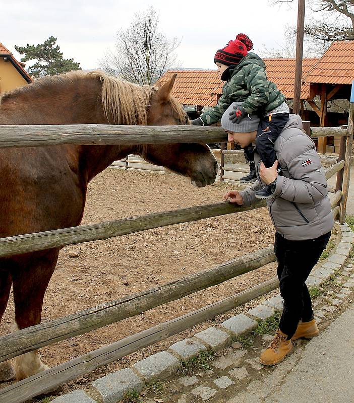 Do plzeňské zoologické zahrady dorazily jenom za sobotu více než dva tisíce návštěvníků.