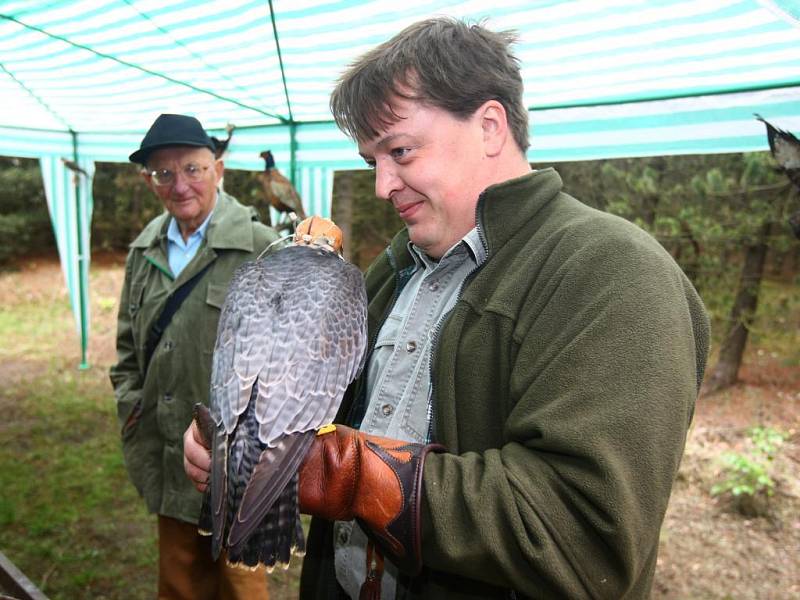 Do plzeňského arboreta Sofronka zavítaly ve čtvrtek zhruba dvě stovky návštěvníků. Dospěláci i školáci mohli při příležitosti týdne lesů poznat zblízka práci lesníků