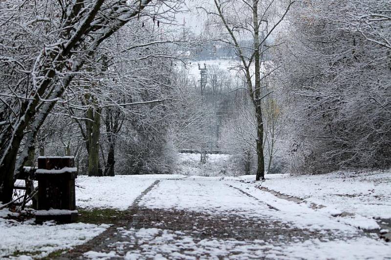 Borský park a první sníh. 