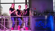 Plzeňský experimentální minipivovar Proud se letos už potřetí zapojil do celosvětové akce Pink Boots Collaboration Brew Day.