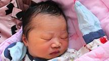 Diep Chi se narodila 31. prosince v 5:44 hodin v porodnici plzeňské FN na Lochotíně.