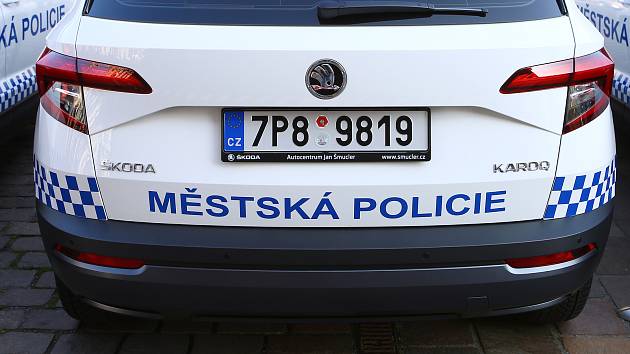 Městská policie Plzeň. Ilustrační foto
