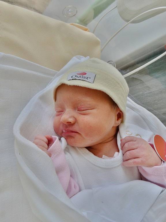 Julie Šmolíková se narodila 27. srpna v 6:27 mamince Michaele a tatínkovi Vlastimilovi z Rokycan. Po příchodu na svět v porodnici U Mulačů vážila jejich prvorozená dcerka 2590 gramů a měřila 51 cm.