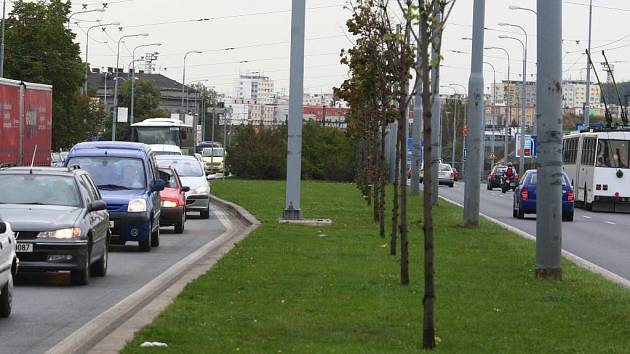 Zelený pás uprostřed ulice U Prazdroje má ustoupit  jízdnímu pruhu určenému pouze městské dopravě