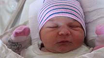 Michal Švikruha z Plzně je druhorozeným miminkem maminky Doubravky a tatínka Marka. Chlapeček se narodil v porodnici FN Lochotín 4. září ve 4:11 hodin (3820 g, 51 cm). Doma na brášku čekal tříletý Matyáš.