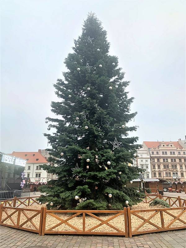 Vánoční strom v Plzni