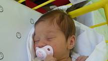 Vikorka (2,80 kg, 48 cm) se narodila 7. května ve 23:05 v Mulačově nemocnici v Plzni. Na světě svoji prvorozenou holčičku přivítali maminka Petra Janoutová a tatínek Martin Štípek z Plzně.