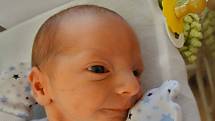 Dvojčata Jan a Adéla Kajzarovi se narodila 19. prosince ve FN Plzeň mamince Kristýně a tatínkovi Robertovi z Mirotic u Bochova. Honzík přišel na svět v 10:31 a vážil 2820 gramů. O minutu mladší sestřička vážila 2010 gramů. 