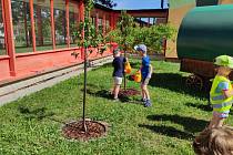 64.mateřská škola v Plzni se zapojila do projektu Nás učí příroda - Kouzla ukrytá v sadu.