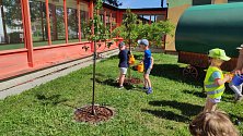 64.mateřská škola v Plzni se zapojila do projektu Nás učí příroda - Kouzla ukrytá v sadu.