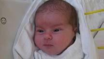 Valérie (4,05 kg, 53 cm) se narodila 3. ledna ve 12:55 v Mulačově nemocnici. Svoji prvorozenou holčičku přivítali na světě maminka Michaela Hájková a tatínek Daniel Homolka z Nýřan