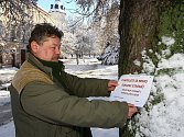 Miroslav Mačas ze Správy veřejného statku města Plzně vyvěšuje varování před nebezpečím pádu stromů
