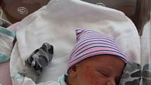 Tadeáš Hranička z Plzně-Lhoty přišel na svět v porodnici FN Lochotín 8. srpna ve 12:41 hodin. Maminka Nikola a tatínek Martin do poslední chvíle jen tušili, že jejich prvorozeným miminkem (4290 g) bude chlapeček.