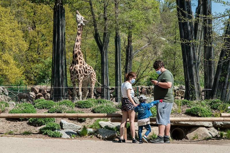 Z plzeňské zoologické zahrady.