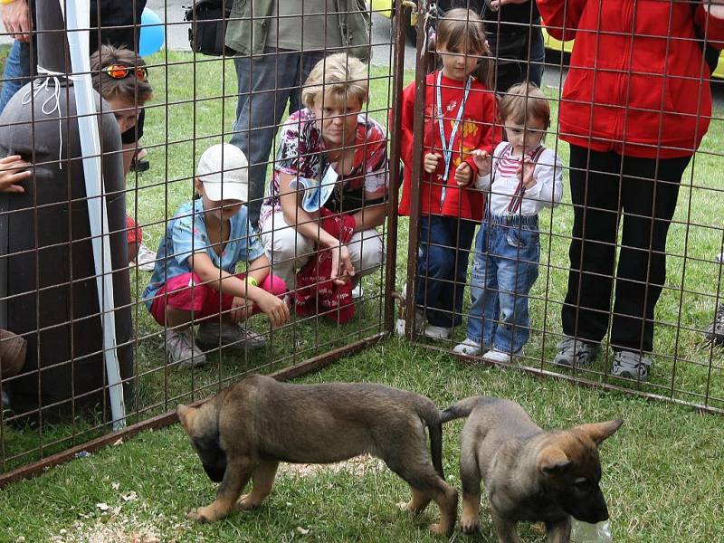 Na akci Den s policií přišlo kolem pěti tisíc lidí.