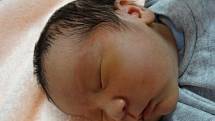 Bao Phi Huynh se narodil 26. listopadu ve 14:15 rodičům Huynhová Nguyet Anh a Huynh Hua Bao Phuc z Chebu, kde na něj také čeká tříletá sestřička. Po porodu vážil 2950 gramů a měřil 48 cm.