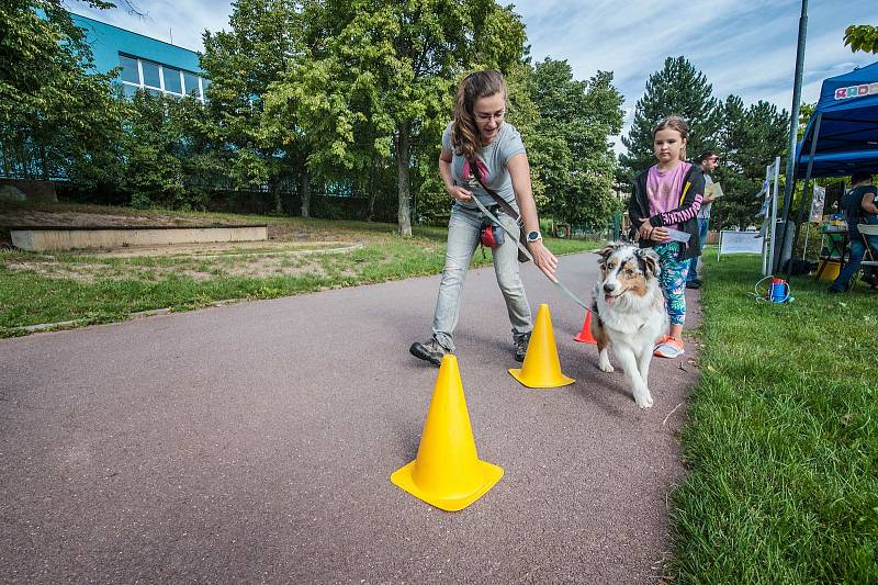 V parku U Bazénu na plzeňském Lochotíně se ve středu sešli milovníci pejsků a také rodiny s dětmi.