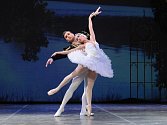 Jarmila Dycková se zítra v plzeňském Velkém divadle představí v nejnáročnější roli klasického baletního repertoáru – jako Odetta a Odilie v Labutím jezeru Petra Iljiče Čajkovského
