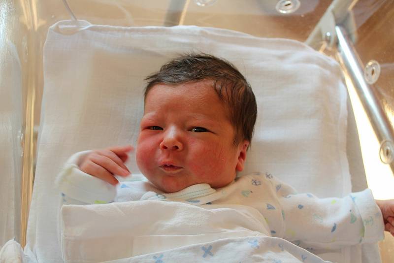 Albert Opl (3600 g, 51 cm) se narodil 15. října ve 14:16 v plzeňské FN Lochotín. Rodiče Kamila a Jan z Tlučné věděli, že Vincent (6) bude mít brášku.