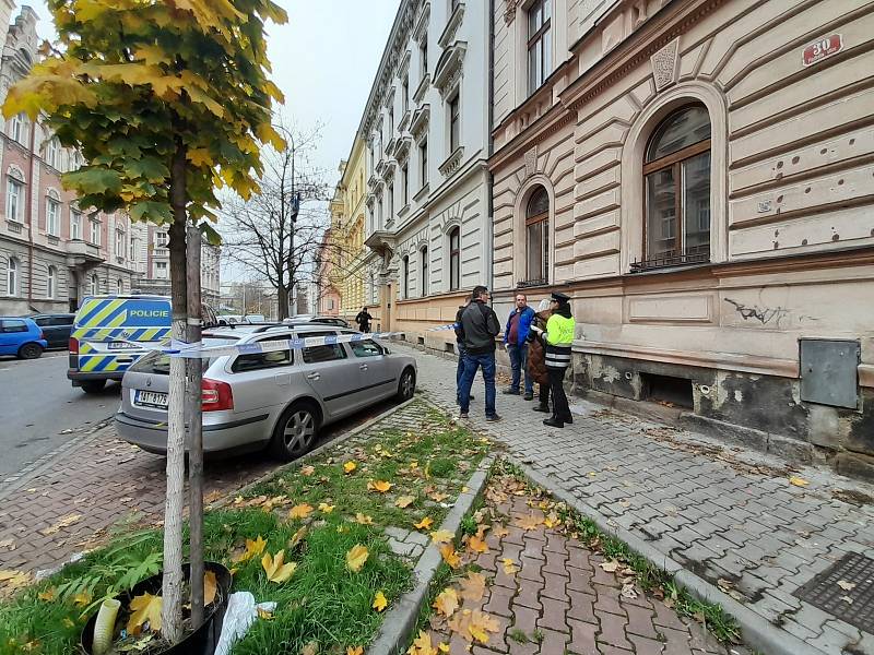 Dino N. (25) v Plachého ulici v Plzni surově zavraždil svoji matku.