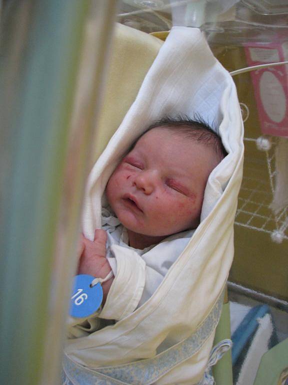 Sebastien (3,40 kg, 49 cm) se narodil 9. března ve 3:55 v Mulačově nemocnici v Plzni. Na světě jej přivítali maminka Tatiana Duchková a tatínek David Knotek. Doma v Přešticích se na brášku těší devítiletý Jakub