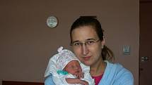 Dvanáctiletá Denisa se už nemůže dočkat, až bude mít doma svoji novorozenou sestřičku Petrušku. Petra (2,45 kg, 49 cm), která dostala jméno po mamince, se narodila Petře a Janu Panským z Plzně 15. 2. ve 12.36 hod. ve FN