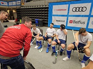 V týmu české reprezentace pozemních hokejistů bude i trojice hráčů z plzeňských Litic, které o víkendu obhájily halový titul.