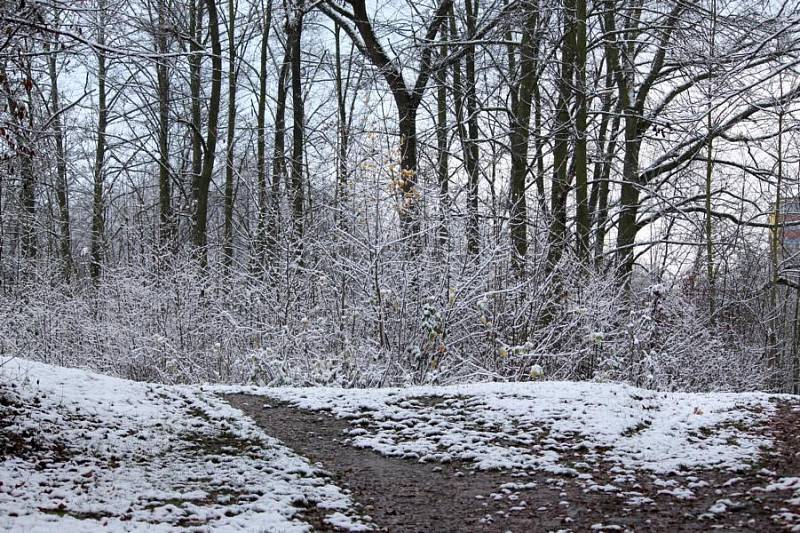 Borský park a první sníh. 