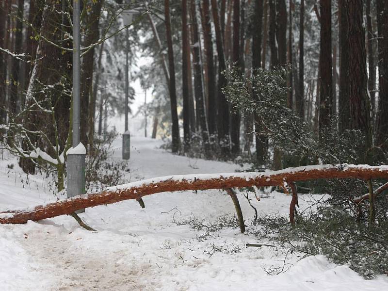 Sněžení, mrholení, rozježděná břečka, ale i náledí a sněhové převisy na střechách, to vše komplikuje v posledních dnech lidem život