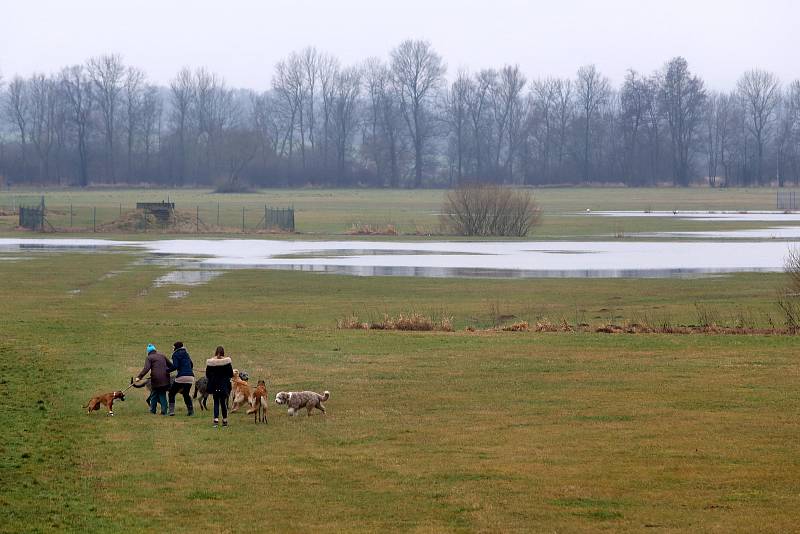 zvednutá hladina řeka Radbuza laguna v lukách