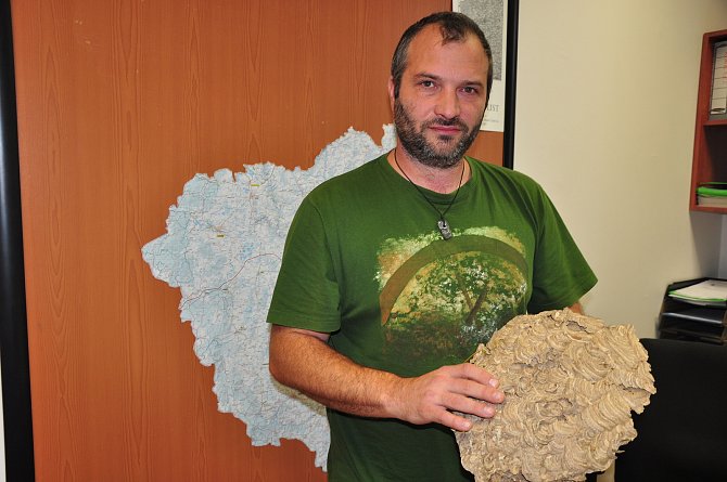 Zdeněk Myslík z Agentury ochrany přírody a krajiny ukazuje strukturu sršního hnízda