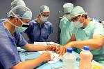 Cvičná operace na letní škole chirurgie Lékařské fakulty Univerzity Karlovy v Plzni
