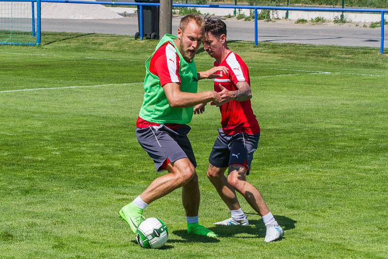 První trénink FC Viktorie Plzeň s trenérem Pavlem Vrbou