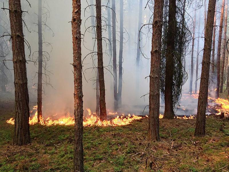 Požár lesa a pole u Horního Hradiště na severním Plzeňsku