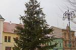 Vánoční strom v Rokycanech.