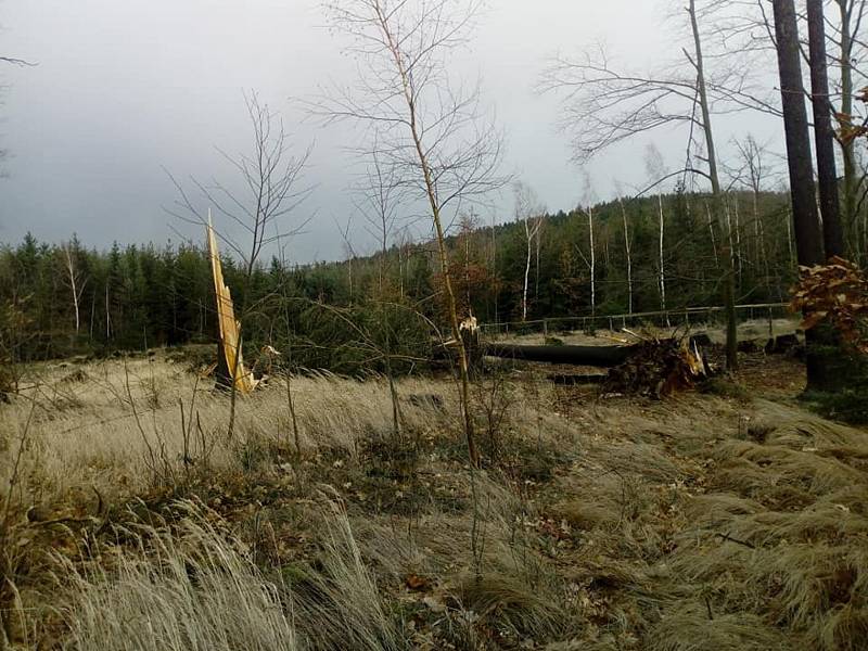 Vyvrácené stromy u Tenisových kurtů a pod Kotlem na Rokycansku