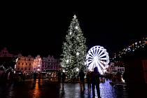 Správa veřejného statku města Plzně právě hledá vánoční strom, který bude zdobit náměstí. Vyzývá proto obyvatele Plzně, případně blízkého okolí, kteří mají na svém pozemku vhodný exemplář a chtějí ho z něj v nejbližší době odstranit, aby jej nabídli městu