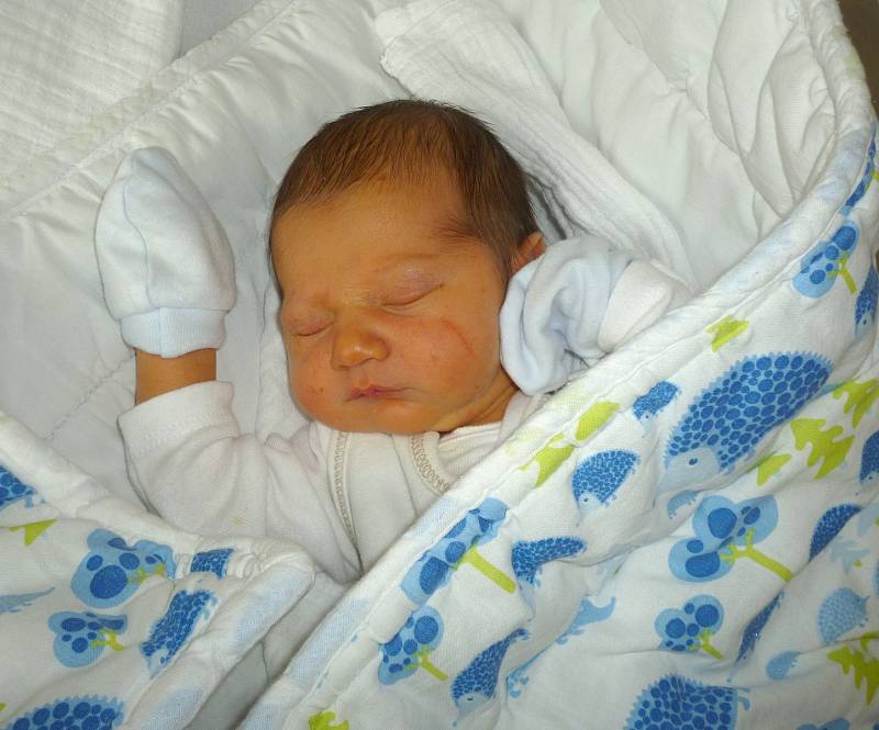 Lukáš Peksa z Kolince se narodil v klatovské porodnici 16. dubna v 0:52 hodin (3170 g, 51 cm). Maminka Monika s tatínkem Zdeňkem dopředu věděli, že jejich prvorozeným miminkem bude chlapeček.