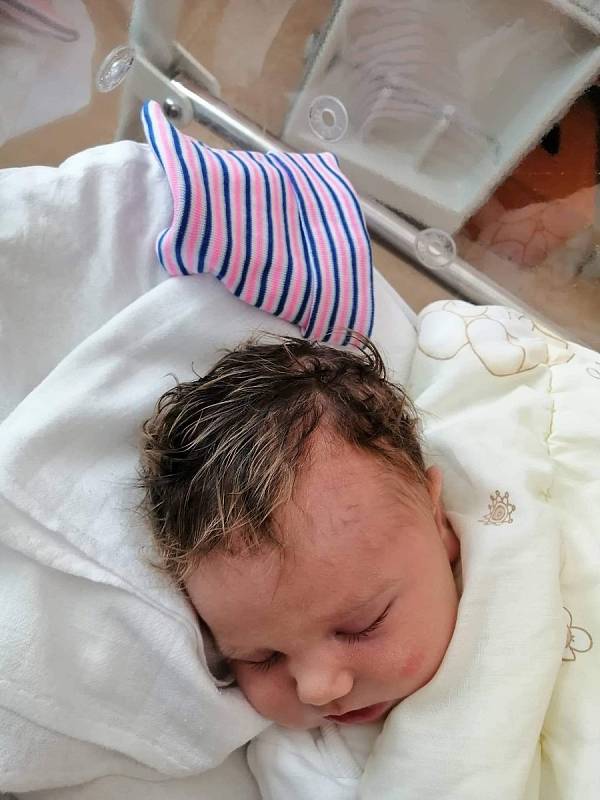 Michaela Nováková z Plas se narodila 1. června v 9:43 hodin mamince Pavle a tatínkovi Michalovi. Po příchodu na svět v plzeňské FN Lochotín jejich dcerka vážila 4420 g a měřila 51 cm.