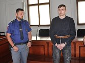 Obviněný Viktor Veselovskyy dostal u Krajského soudu v Plzni za svůj čin 19 let ve věznici se zvýšenou ostrahou. Rozsudek není pravomocný