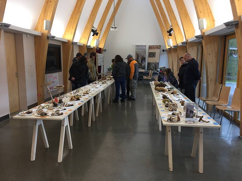 Návštěvníci v centru Caolinum v Nevřeni si o víkendu mohli prohlédnout až 120 druhů hub. O odborný výklad se postaral mykolog Luboš Zelený.
