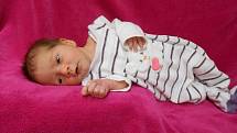 Marie Liliana T. se narodila 7. ledna 2022 v porodnici Domažlické nemocnice. Při narození vážila 3010 gramů a měřila 50 centimetrů.
