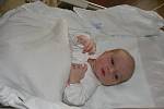 Kateřina (3,33 kg, 49 cm), která se narodila 7. 4. v 11.07 hod. ve FN, je prvorozenou dcerou Antoniny a Petra Maňaskových z Plzně