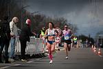 Tereza Hrochová (na archivním snímku) na mistrovství světa 2022 zářila. V maratonu skončila na sedmnáctém místě, přičemž lepší byly pouze čtyři Evropanky. Nyní ji čeká mistrovství Evropy.