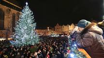 Rozsvícení vánočního stromu v Plzni.