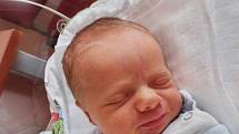 Alice Kochová se narodila 6. března 37 minut po půlnoci mamince Lence a tatínkovi Tomášovi z Plzně. Po příchodu na svět v plzeňské fakultní nemocnici vážila jejich prvorozená dcerka 2490 gramů a měřila 46 centimetrů